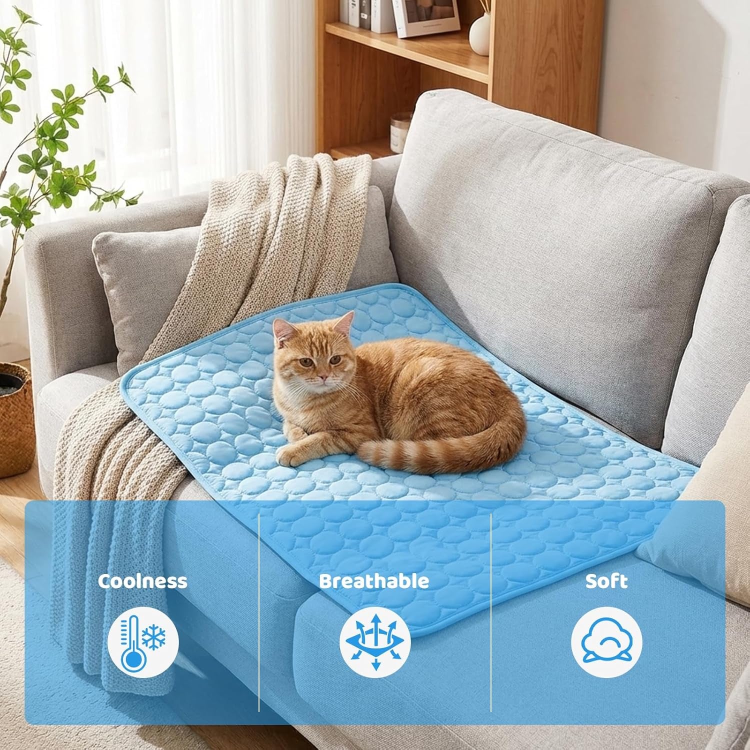 Cool Mat for Dogs, Dog Cooling Mat, Cooling Solution for Hot Summer Days, Ideal for Car Travel and Home Use, Size 70X55 Cm